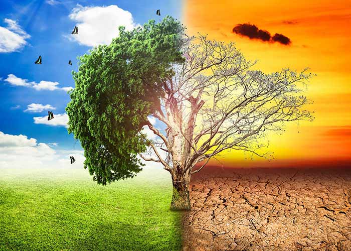 Essay on global warming and india