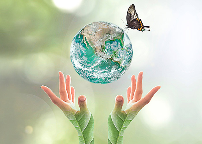 Green House Effect and Global Warming Essay