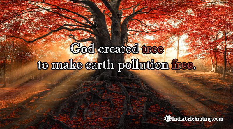 God created tree to make earth pollution free.