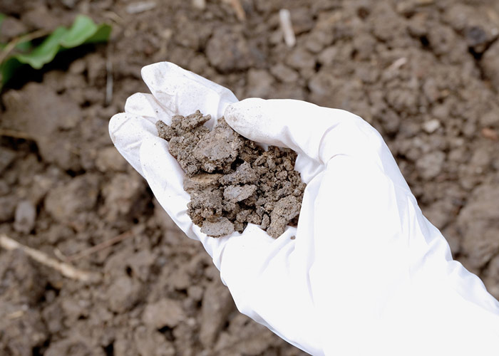 Diseases caused by Soil pollution