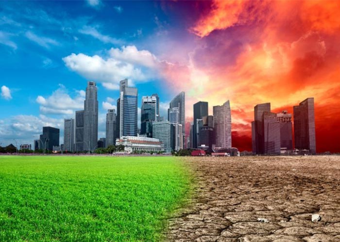 Essay on Global Warming The Effects of Essay on Global Warming The Effects of