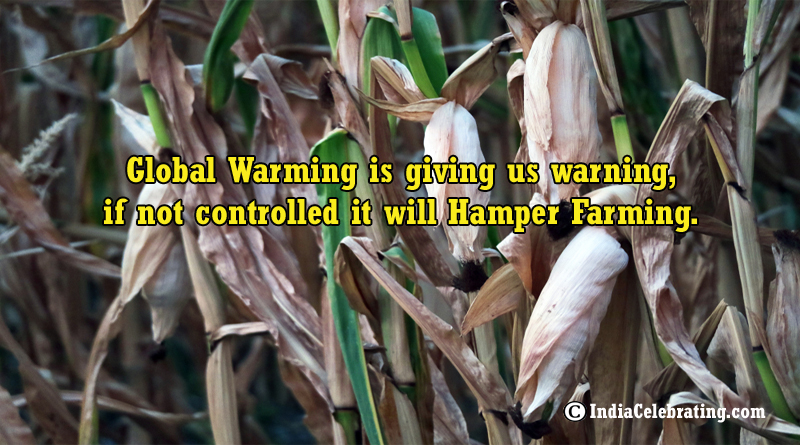 Global Warming affect Farming
