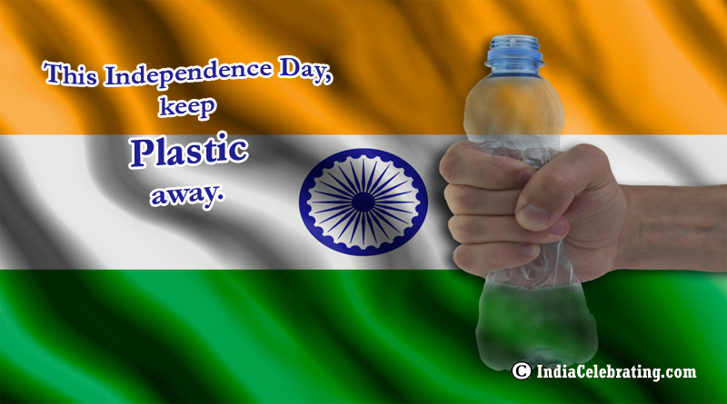 This Independence Day Keep Plastic Away