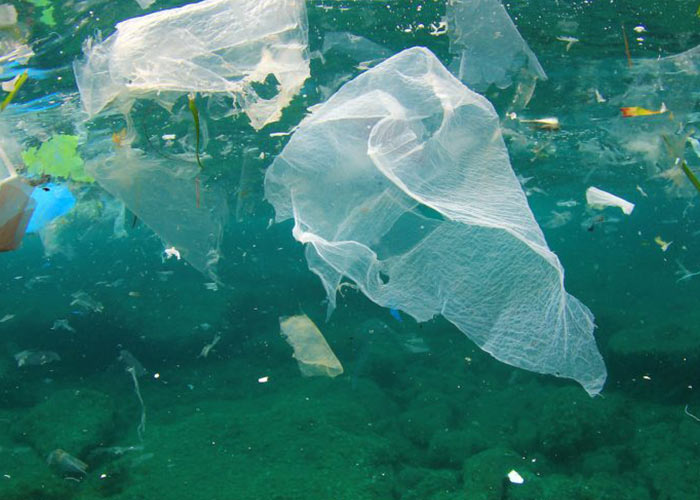 Why Plastic Bags should be Banned