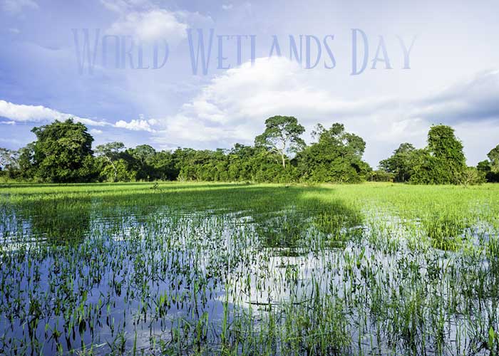 World Wetlands Day