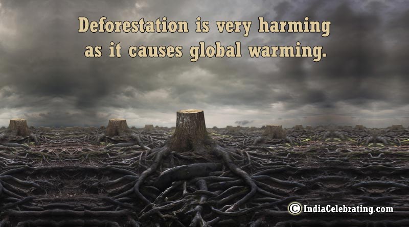 Deforestation is very harming as it causes global warming.