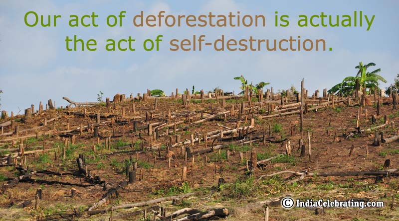 Our act of deforestation is actually the act of self-destruction.