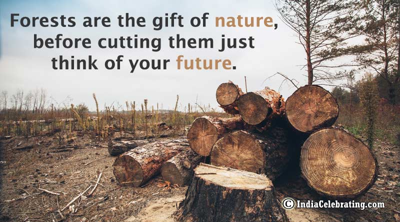 Forests are the gift of nature, before cutting them just think of your future.