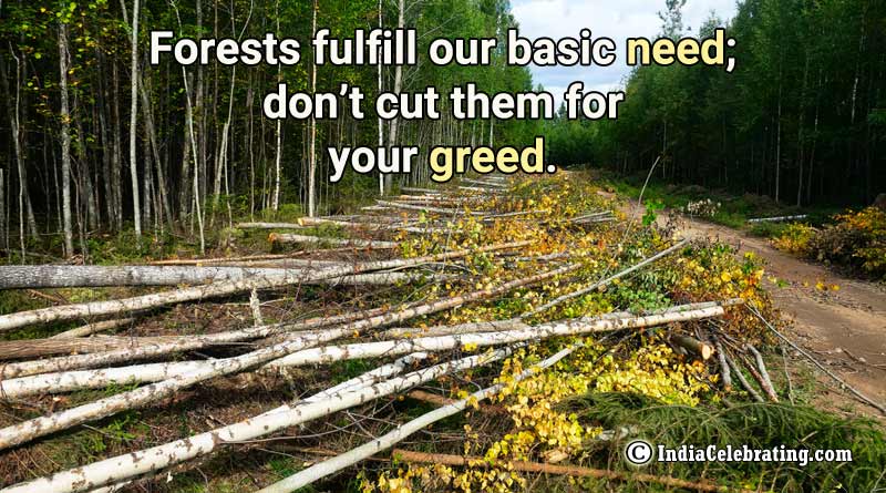 Forests fulfill our basic need; don’t cut them for your greed.