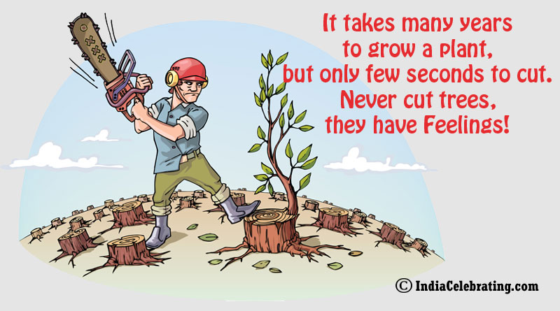 It takes many years to grow a plant, but only few seconds to cut. Never cut trees, they have Feelings!