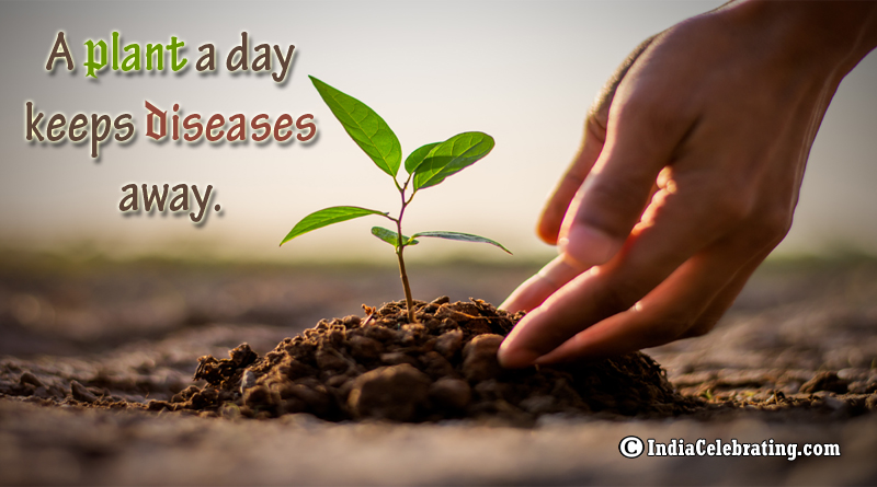 A plant a day keeps diseases away.