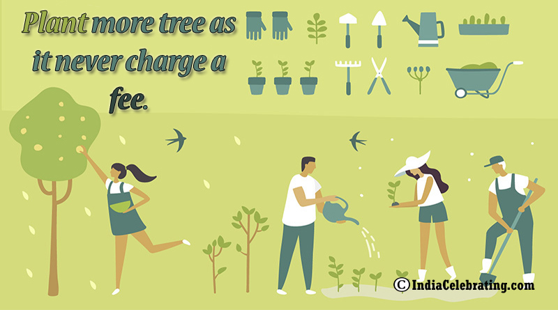 Plant more tree as it never charge a fee.