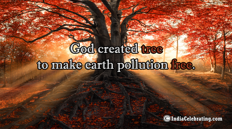 God created tree to make earth pollution free.