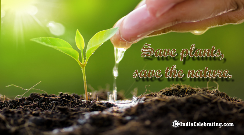 Save plants, save the nature.