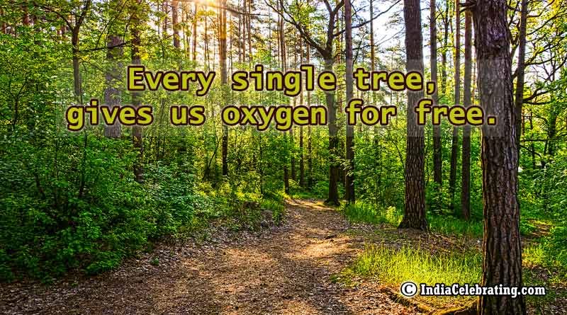 Every single tree, gives us oxygen for free.