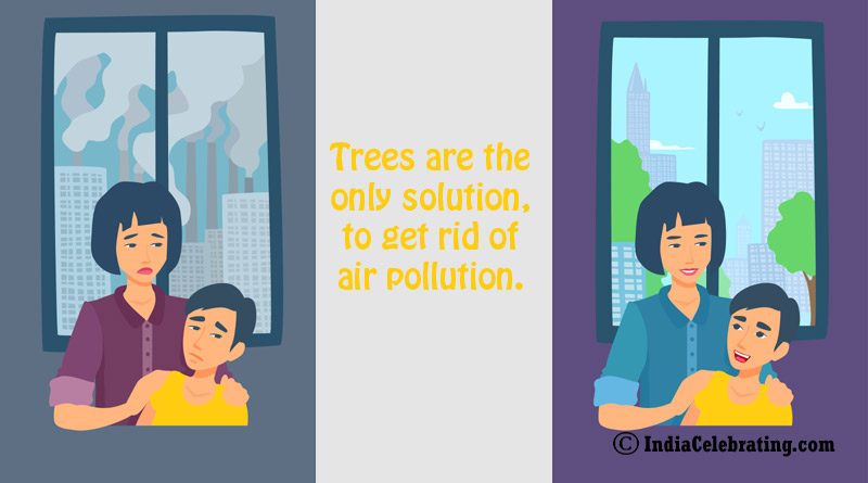 Trees are the only solution, to get rid of air pollution.