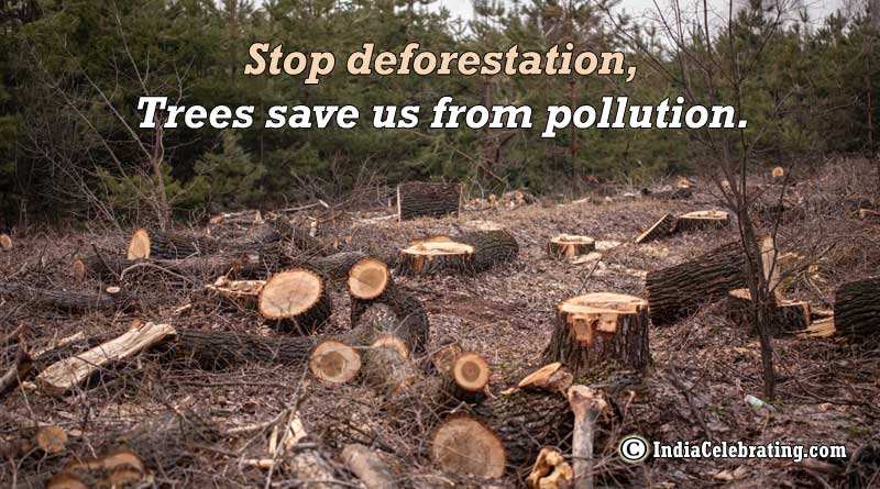 Stop deforestation, Trees save us from pollution.